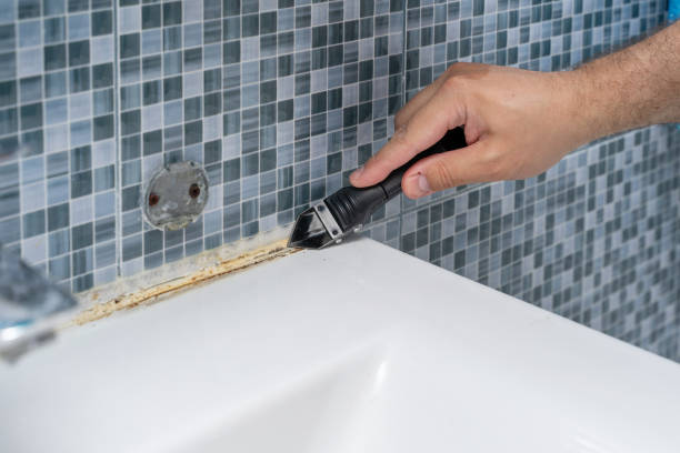 Professional Mold Removal in Elephant Butte, NM